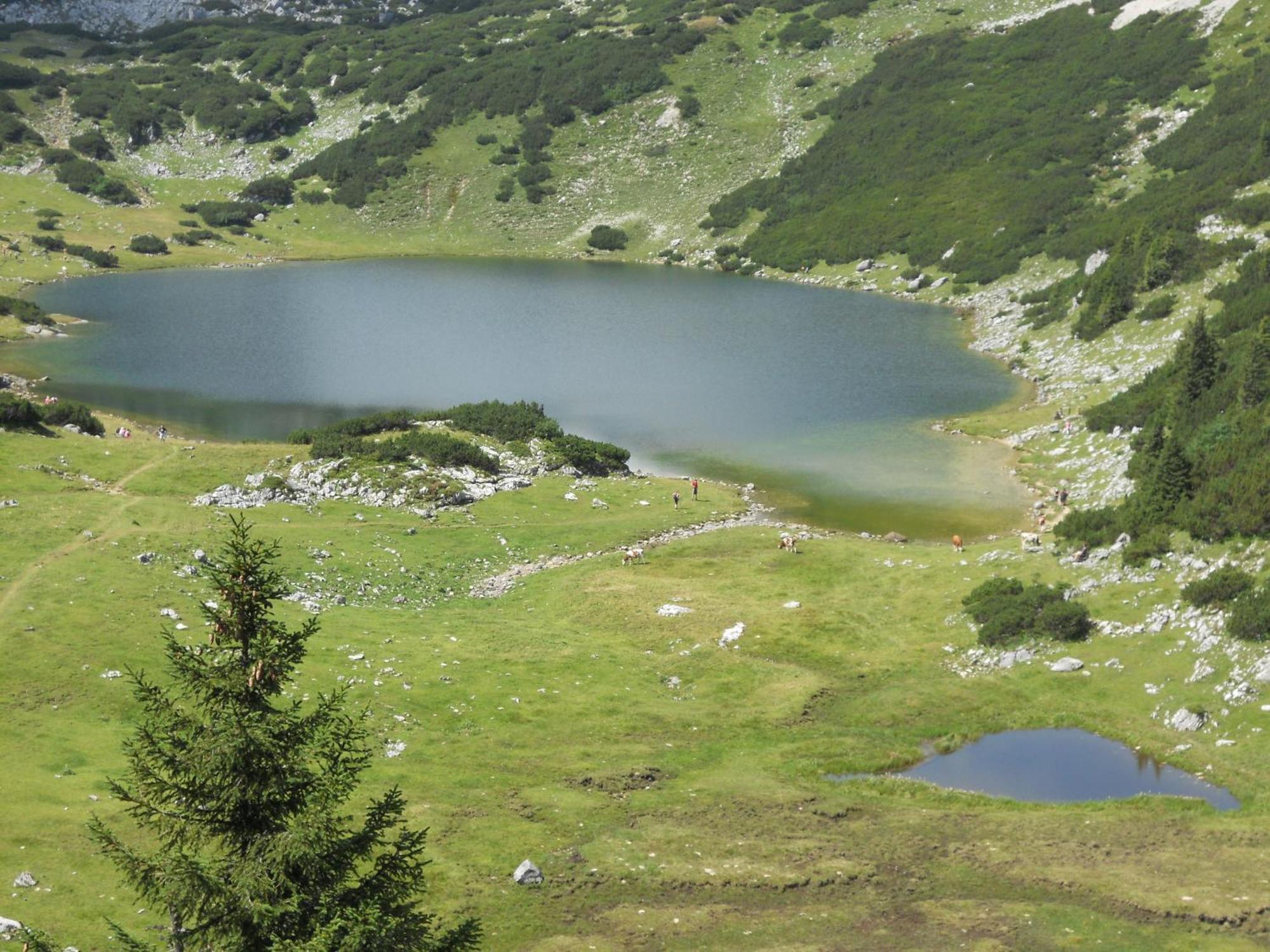 Landgasthof Pfarrwirt Hotel Thiersee Bagian luar foto